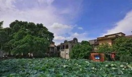 爆料乡村风景视频,揭秘我国乡村自然风光