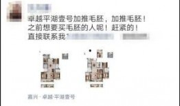 平湖生活爆料网最新,新鲜资讯速递，尽享本地生活风采