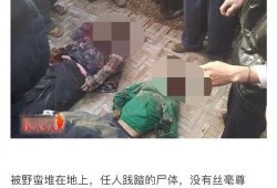 爆料缅北人遭报复视频,真相与反思