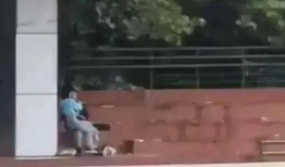 学校吃瓜事件网红视频,网红视频揭秘校园热点事件