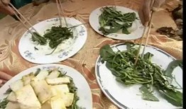 娱乐吃瓜新粉,吃瓜指南，轻松解锁娱乐圈秘密！