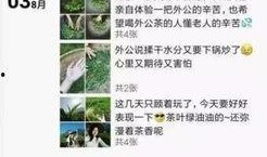 爆料茶叶骗局揭秘视频,视频爆料揭露行业黑幕