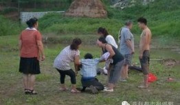 邯郸肥乡网友爆料新闻,惊现神秘事件，真相令人震惊！
