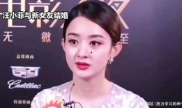 娱乐八卦吃瓜赵丽颖小说在线阅读,揭秘明星背后的故事