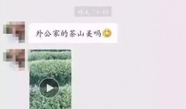 爆料茶叶骗局揭秘视频,视频爆料揭露行业黑幕