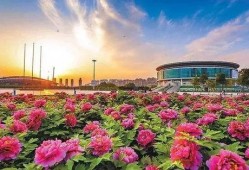 洛阳植物园爆料事件视频,揭秘园内惊人真相