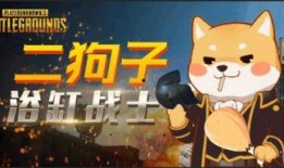 小狗技能爆料怎么做的视频,轻松制作视频教程攻略