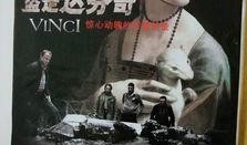 盗走达芬奇在线观看,揭秘名画失窃背后的惊心动魄