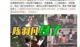 红河爆料后续事件视频,事件真相逐步揭晓
