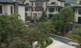 海哥热线爆料视频大全最新,揭秘热点事件背后的真相