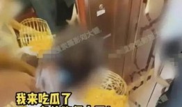 张小寒今日爆料视频大全,揭秘娱乐圈幕后真相