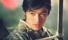 少年杨家将胡歌版在线观看,重温经典，热血青春再现