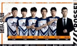 传奇杯选手名单爆料视频,揭秘各大高手齐聚一堂的精彩对决