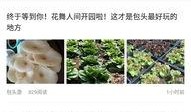 包头最新爆料,揭秘城市变革背后的故事