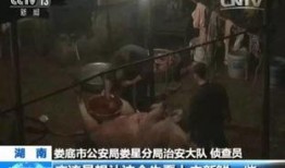 南宁爆料暗拍事件视频播放,真相背后引人深思