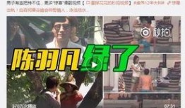 王大炮的爆料与传闻视频,揭秘传闻视频背后的惊人真相