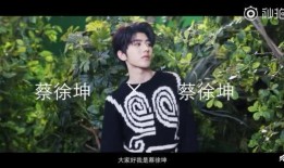 蔡徐坤被谁爆料的视频,蔡徐坤被神秘人物爆料的视频真相揭秘