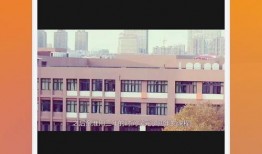 师兄版本爆料视频下载,最新版本亮点抢先看