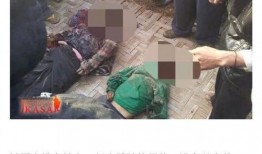 爆料缅北人遭报复视频,真相与反思