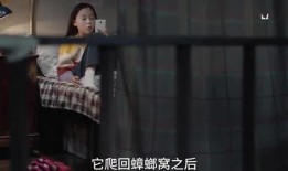 李则则爆料自己姐姐视频