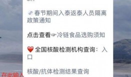 泰安核酸爆料事件视频播放,真相与争议交织