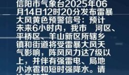 信阳市今日头条爆料,揭秘事件真相