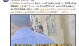 肥西女婿爆料视频播放,揭秘背后惊人真相