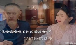 上门女婿在线观看,爱情与现实的碰撞，一段不平凡的婚姻旅程