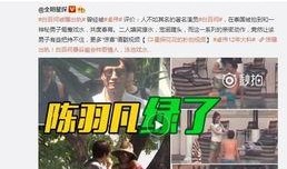 卖瓜爆料视频是否犯法,法律边界与道德考量