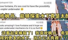 外国人看枫丹爆料视频网站,外国视角下的中国网络文化探秘