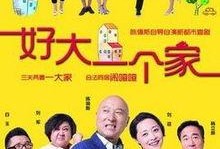 电视剧好大一个家在线观看,温情演绎家庭百态，共筑美好家园