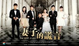 妻子的谎言全集在线观看,妻子全集剧情深度解析