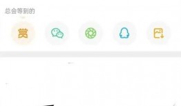 张小寒今日爆料视频大全,揭秘娱乐圈幕后真相