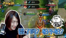 张大仙爆料八神庵视频,八神庵神秘视频幕后真相曝光