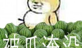 黑料吃瓜爆料网红精品一区,黑料吃瓜背后的真相与内幕