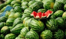 东北吃瓜网红叫什么名字,揭秘“瓜王”背后的故事