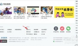 视频爆料 入口网页打开,入口网页打开背后的秘密与影响