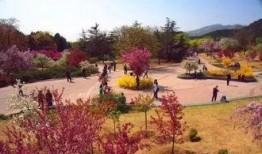 洛阳植物园爆料事件视频,揭秘园内惊人真相