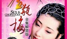 新金梅瓶在线观看,穿越时空的传奇爱情，在线观看带你领略古典韵味