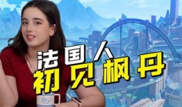 外国人看枫丹爆料视频网站,外国视角下的中国网络文化探秘