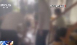 谁爆料盲盒事件真相视频