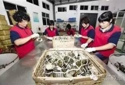 吴江七都新闻爆料,吴江七都最新动态揭秘，热点事件追踪报道