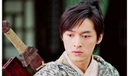 少年杨家将胡歌版在线观看,重温经典，热血青春再现