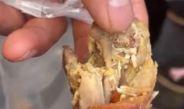 网友爆料鸡腿视频,揭秘美食背后的真相
