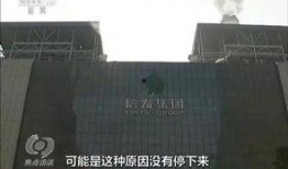 茌平热点爆料最新消息今天,今日热点事件速览
