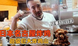 炸鸡大叔爆料视频大全图片,视频大全图片背后的炸鸡传奇