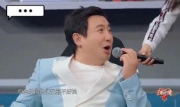 沈腾爆料恋人是谁视频播放,揭秘神秘恋人身份之谜