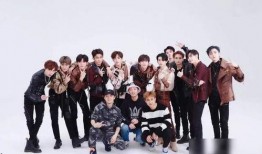 网红爆料王大炮视频播放,揭秘网红背后的故事