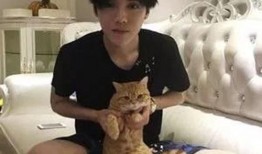 关晓彤鹿晗娱乐爆料