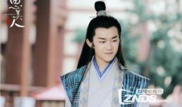 思美人在线观看,穿越时空的浪漫传奇